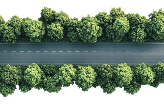 Green tree-lined road stretches through nature png