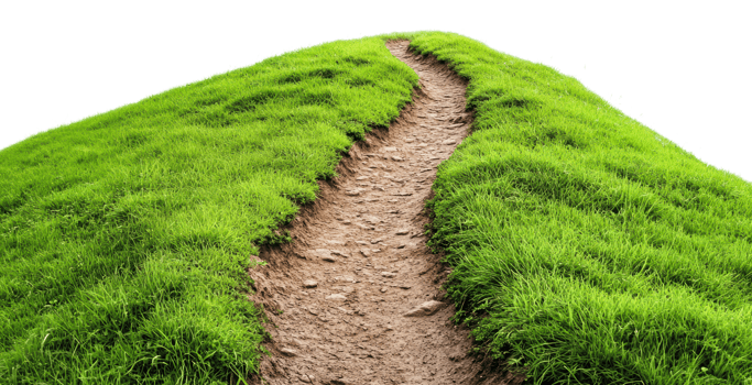 Winding path through lush green grass landscape png