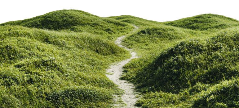 Path through lush green hills in bright sunlight png