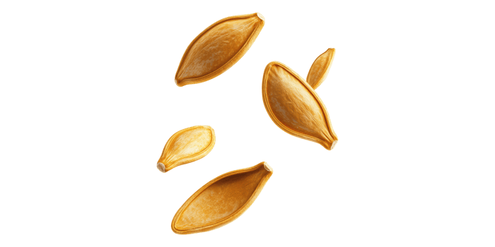 Floating pumpkin seeds isolated on transparent background png
