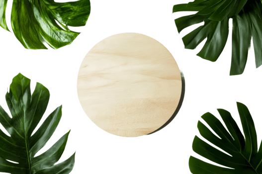 Natural composition with wooden circular board png