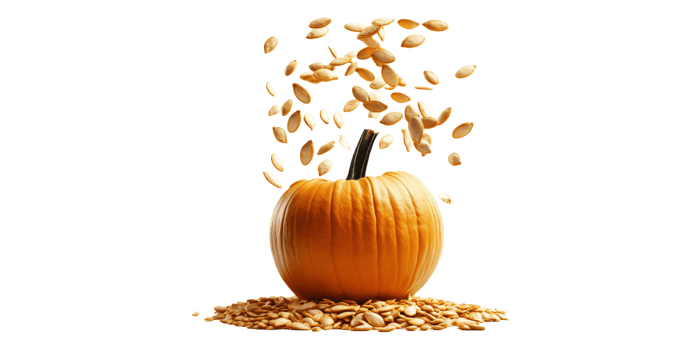 Pumpkin with Seeds Isolated on Transparent Background png