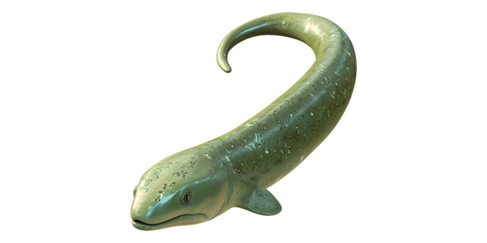 Realistic green moray eel illustration isolated on transparent background png