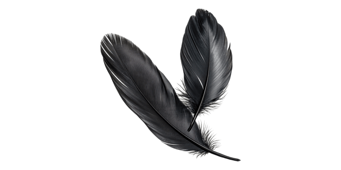 Two black feathers isolated on transparent background png