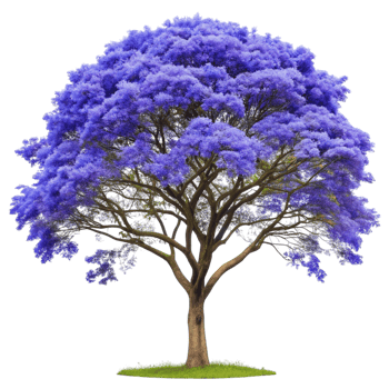 A purple tree with green leaves on it png