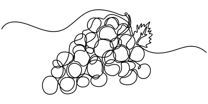 Abstract shaped grape single line grape icon, Winery Grapes Thin Line Icon On A Transparent Background vector