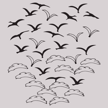 A flock of birds flying in the sky vector