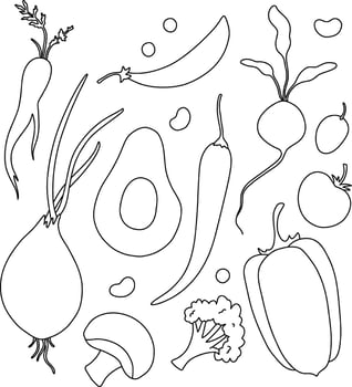 Set of vegetables, menu design, vegetarians, nutritionists. Onions, tomatoes, peas, beans, carrots, radishes, peppers, avocados, champignons, broccoli, beans. Line drawing vector