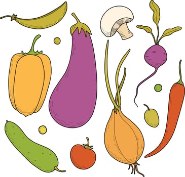 Set of vegetables, color illustrations hand drawn. Eggplant, pepper, onion, champignon, peas, beets, cucumber. vector