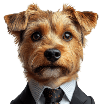 Dog dressed in a suit with a tie, showcasing a unique blend of professionalism and charm in a whimsical setting isolated on transparent background png