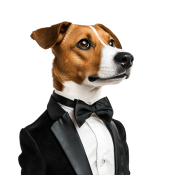Dog wearing a black tuxedo exudes charm and sophistication with a stylish demeanor png