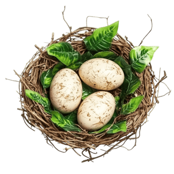 Basket filled with juicy cherry tomatoes bursting with vibrant color symbolizing freshness garden abundance and the crisp taste of ripe produce png