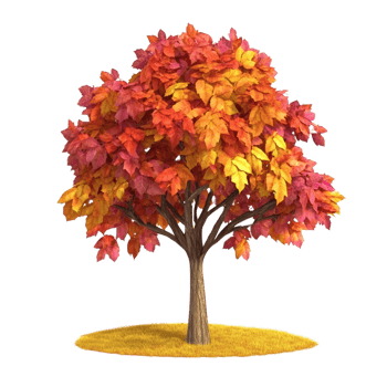 Cartoon 3D Tree with Autumn Leaves in Vibrant Fall Colors Isolated on transparent Background png