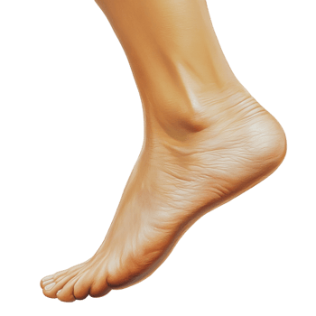 Bare human foot with smooth skin and a slightly arched shape appears to be floating in the air png