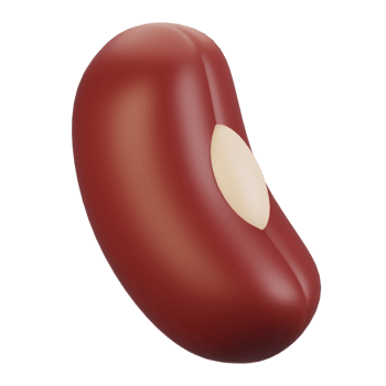 3d rendering vegetables icon concept. 3d render red bean icon png