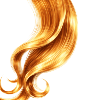 hair clipart golden hair clipart transparent background. png