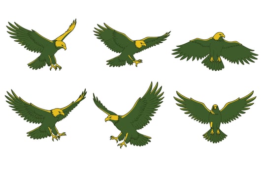 Fearless Eagle Capturing the Spirit of Freedom vector
