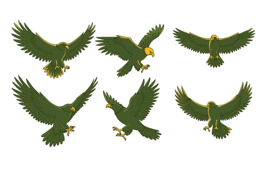 The Fierce Beauty of a Hunting Eagle vector