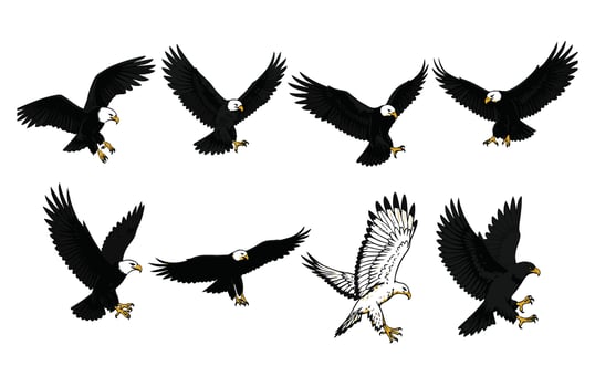 Eagle with Intense Eyes Locked on Prey vector