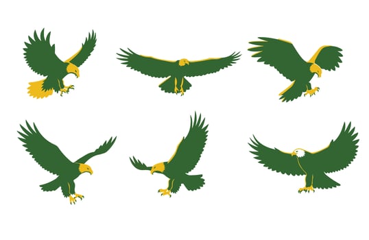 Sharp Clawed Eagle Hunting in Open Skies vector