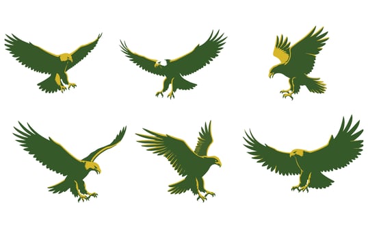 Supreme Hunter A Bald Eagle in Motion vector