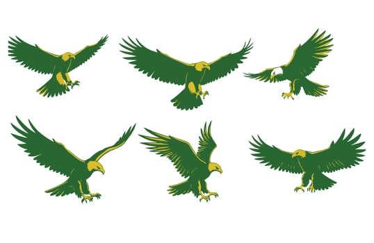 Nature Guardian Stunning Bald Eagle vector