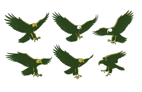 The Spirit of the Wild A Flying Eagle vector