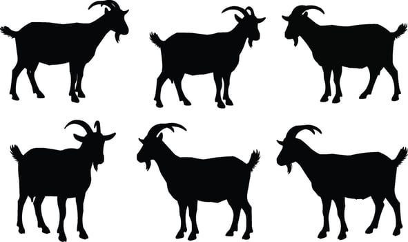 Animal Silhouettes of Goats for Agricultural Themes, vector