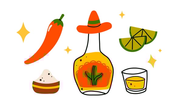 Colorful vintage stickers set of tequila bottle glass with salt on rim, shot with lime slice, illustration isolate on white. Doodle hand drawn Mexican drink . vector
