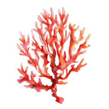 A vibrant red coral illustration showcasing marine beauty and ecological significance. png