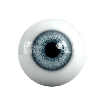 Close-up of a human eye showcasing detailed iris and pupil structure. png
