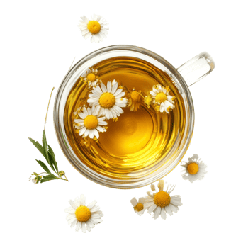 A glass mug of chamomile tea with flowers png