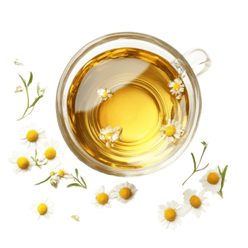 A glass cup of chamomile tea with chamomile flowers png