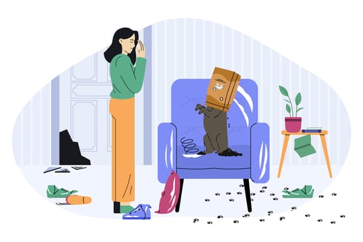 Dog behavior problem concept, with desperate woman looking at naughty dog destroying furniture and making mess in living room with broken door and things scattered on floor vector