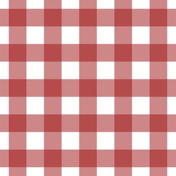 Classic Gingham Print vector