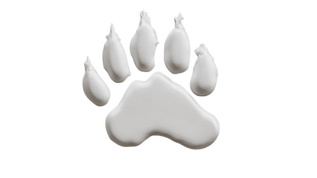 Large white dog paw print on a clean surface showing fine details and texture under bright lighting png