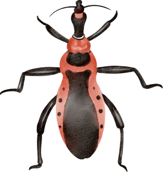 A red and black bug with black spots png