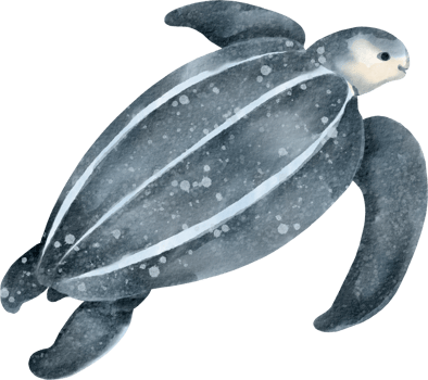A turtle with a black background and white spots png
