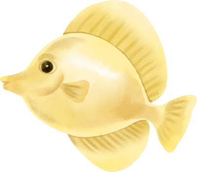 A yellow fish with a black background png