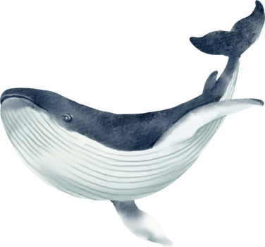 A whale is shown in watercolor on a black background png
