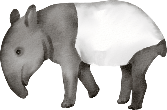 A watercolor drawing of a baby elephant png