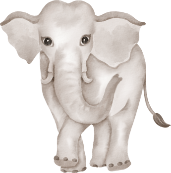 An elephant is standing in front of a black background png