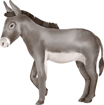 A donkey is standing in front of a black background png