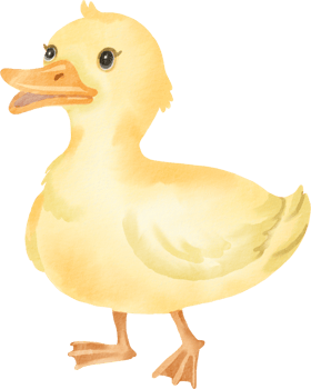 A watercolor duck standing on a black background png