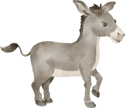 A donkey is standing in front of a black background png