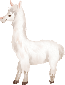 A white llama standing on a black background png