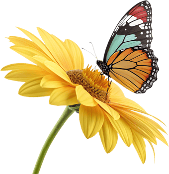 Elegant butterfly fluttering amidst blooming flowers for art clipart. . png