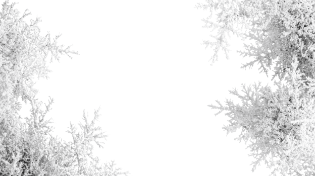 Abstract White Frost Patterns On Black Background png