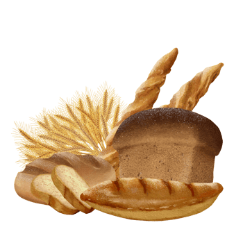 Bread and Loaves with its Slices png