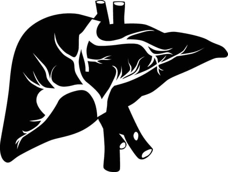 Liver silhouette. Human body organ illustration. vector